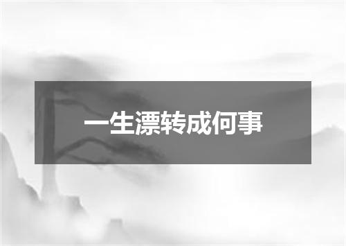 一生漂转成何事