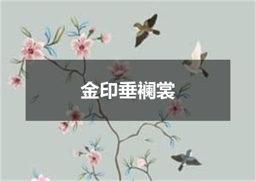 金印垂襕裳