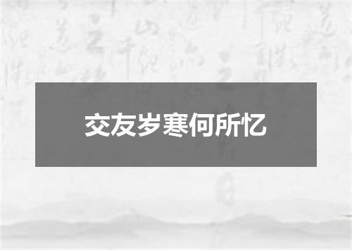 交友岁寒何所忆