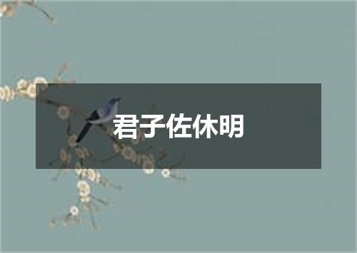 君子佐休明