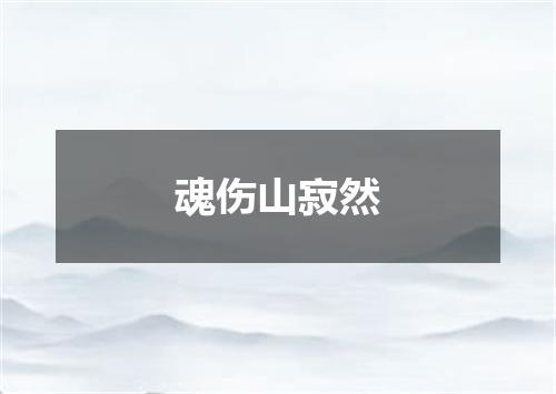 魂伤山寂然