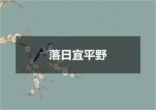 落日宜平野