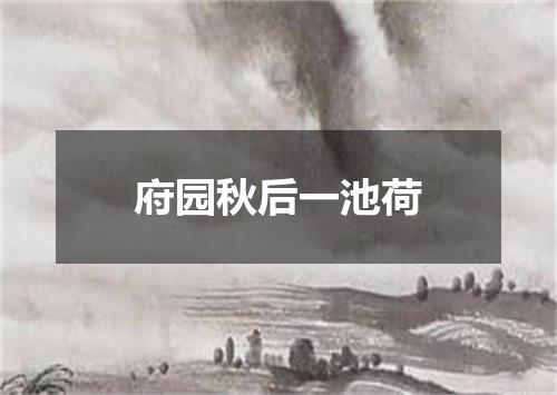 府园秋后一池荷