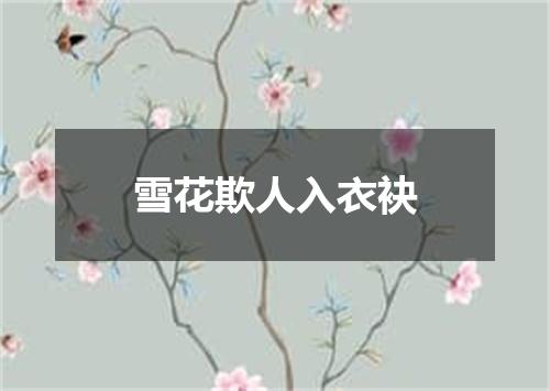 雪花欺人入衣袂