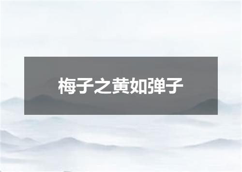 梅子之黄如弹子