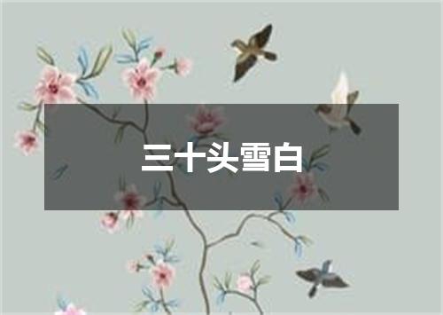 三十头雪白