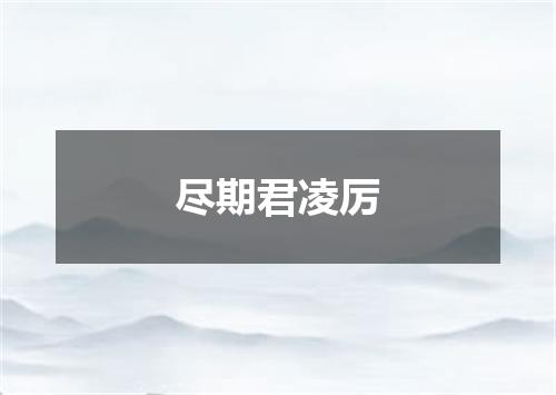 尽期君凌厉