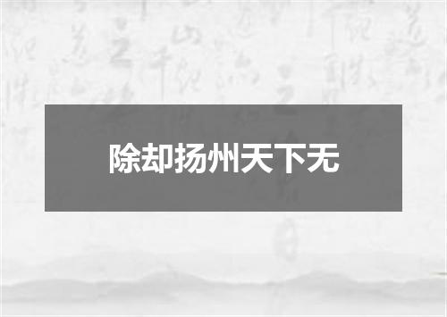 除却扬州天下无