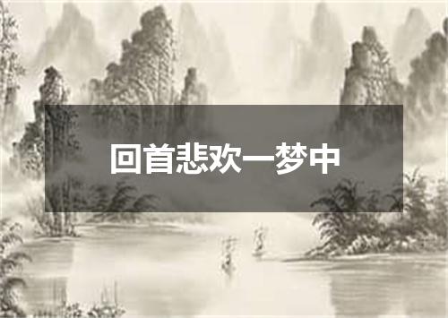 回首悲欢一梦中