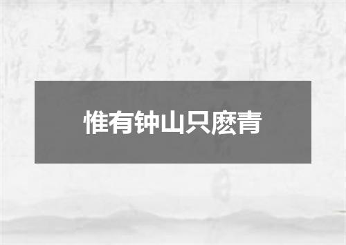 惟有钟山只麽青