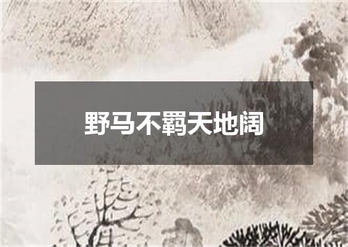 野马不羁天地阔