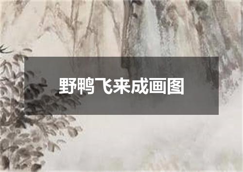 野鸭飞来成画图