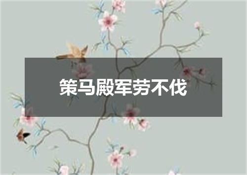 策马殿军劳不伐