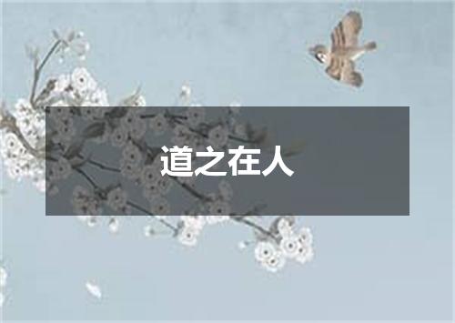 道之在人