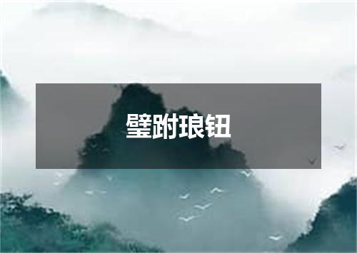璧跗琅钮