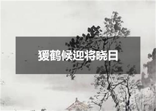 猨鹤候迎将晓日