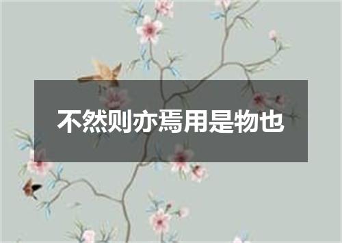 不然则亦焉用是物也