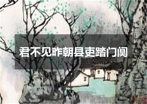 君不见昨朝县吏踏门阒