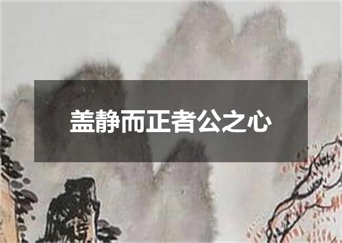 盖静而正者公之心