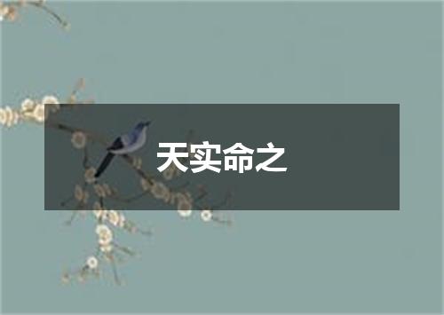 天实命之