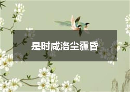 是时咸洛尘霾昏
