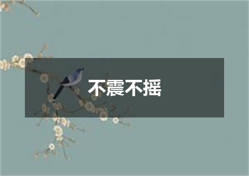 不震不摇