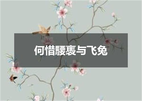 何惜騕褭与飞兔