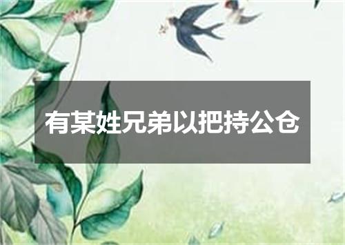 有某姓兄弟以把持公仓
