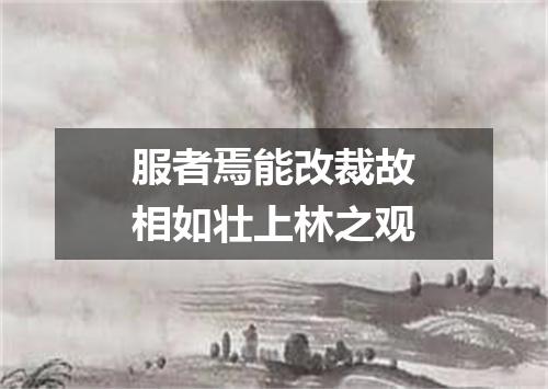 服者焉能改裁故相如壮上林之观