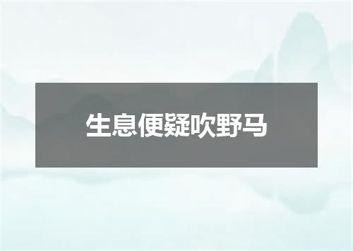 生息便疑吹野马