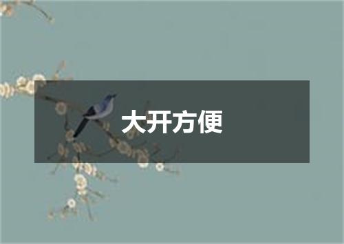 大开方便