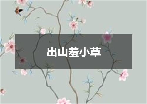 出山羞小草