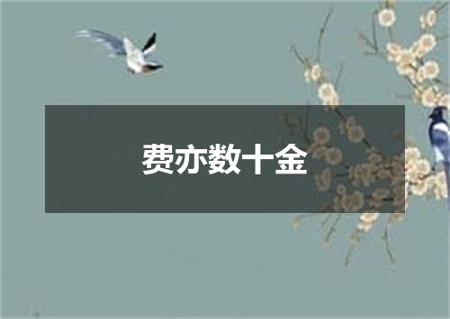 费亦数十金