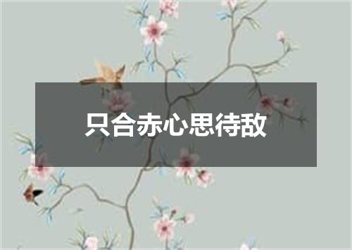 只合赤心思待敌