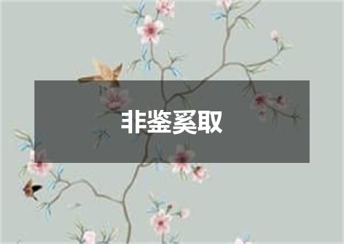 非鉴奚取