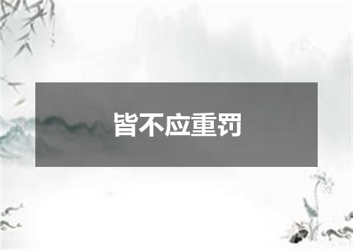皆不应重罚