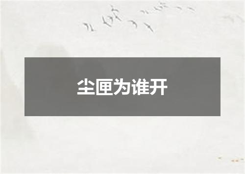 尘匣为谁开