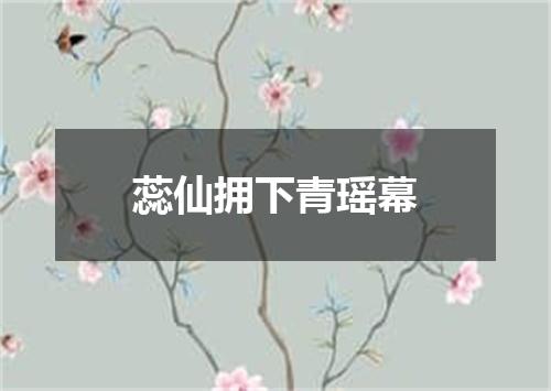 蕊仙拥下青瑶幕