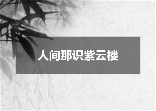 人间那识紫云楼