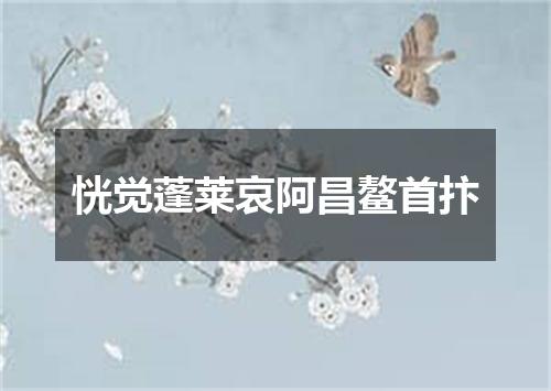 恍觉蓬莱哀阿昌鳌首抃