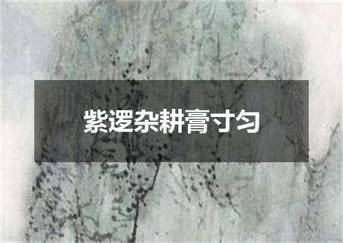 紫逻杂耕膏寸匀