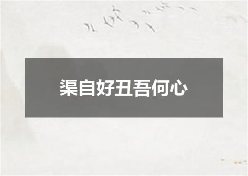 渠自好丑吾何心
