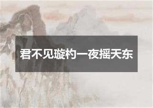 君不见璇杓一夜摇天东
