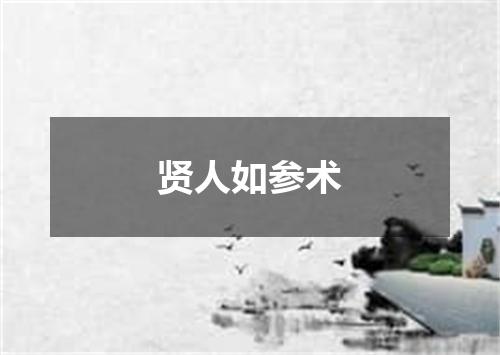 贤人如参术