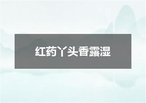 红药丫头香露湿