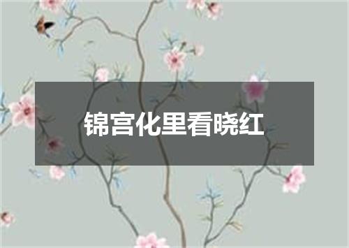 锦宫化里看晓红