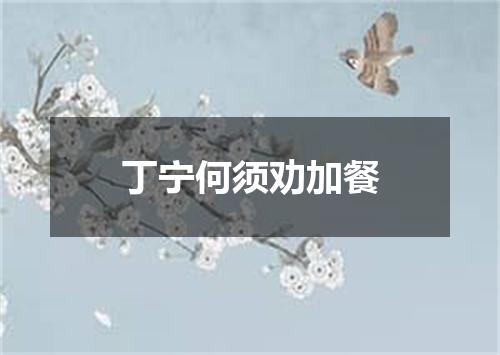 丁宁何须劝加餐