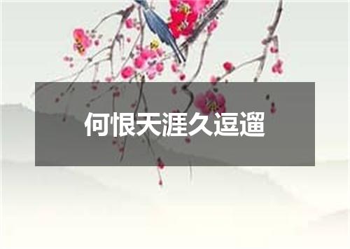 何恨天涯久逗遛