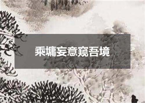 乘墉妄意窥吾境