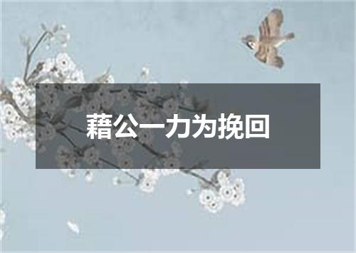 藉公一力为挽回